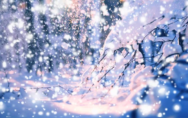 妖精の冬の夜のパノラマ 雪の木と降雪 — ストック写真