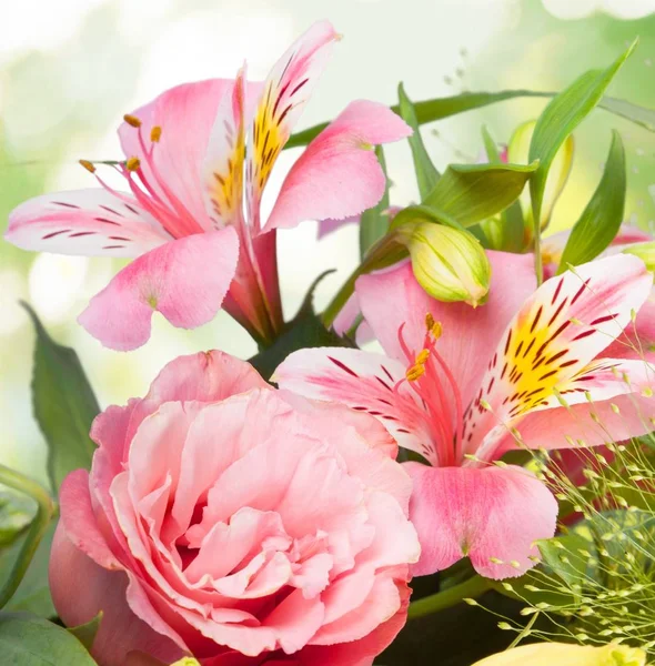 Beautiful Lilies Flowers Bouquet Background — Stock Photo, Image