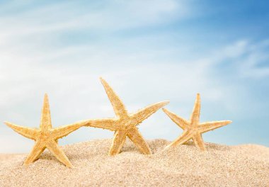 Deniz yıldızları kum, seyahat kavramı üzerinde 