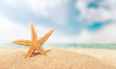 Deniz yıldızı kum, seyahat kavramı üzerinde 