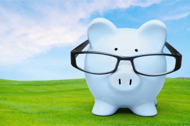 Kumbara gözlük, yatırım kavramı