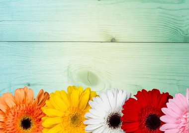 ahşap arka plan güzel parlak çiçekler 