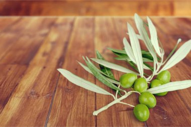 Zeytin, zeytin dalı, yaprak.