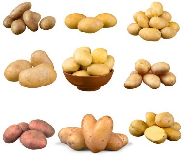 Olgun taze patates