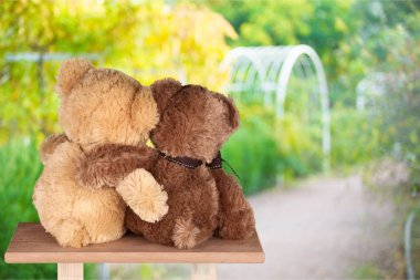 Ahşap masada sevimli Teddy ayılar, arka görünüm