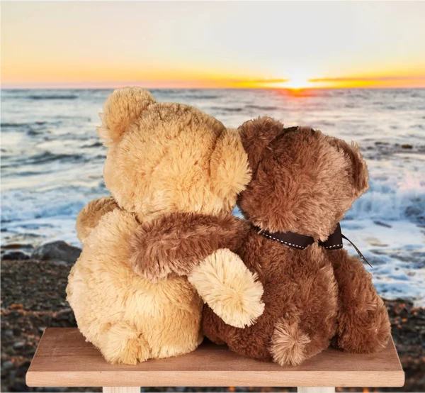 Милые Медведи Тедди Обнимаются Вид Сзади — стоковое фото