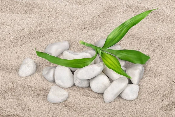 Stack Pebbles Leaves Sandy Beach — Stock Photo, Image