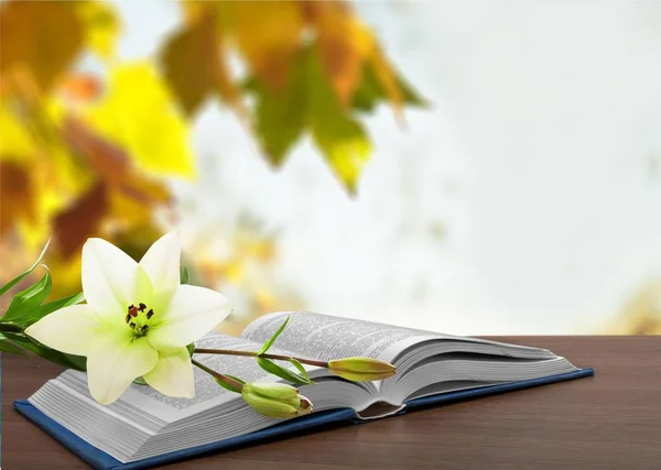 opened book with flower on wooden table