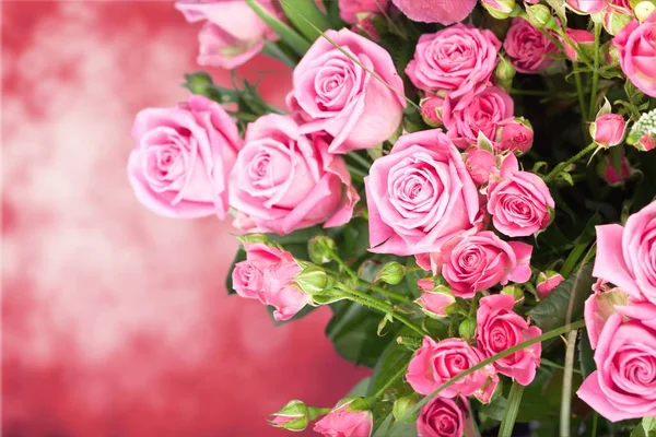 Beautiful Pink Roses Romantic Bouquet — Stock Photo, Image