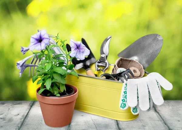 Blomkrukor Och Trädgårdsredskap Träbord — Stockfoto