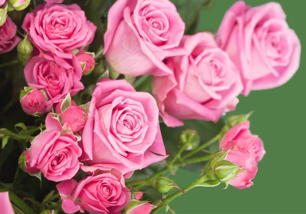 美丽的粉红色玫瑰 浪漫的花束 — 图库照片
