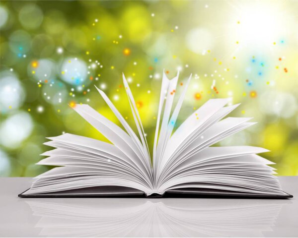 открытая книга с белыми листами
