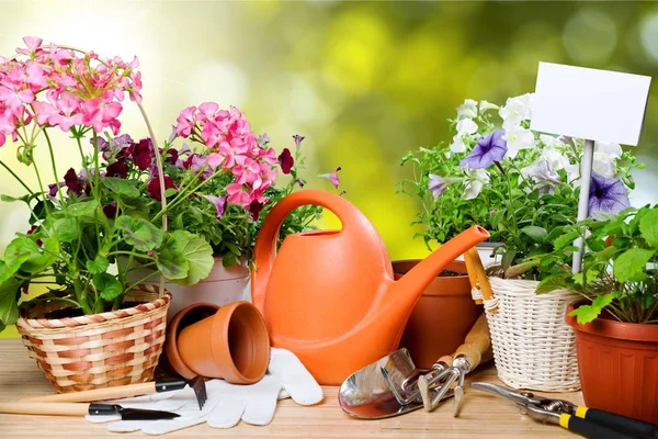 Watering Can Pot Plants Gardening Tools — Stock Photo, Image