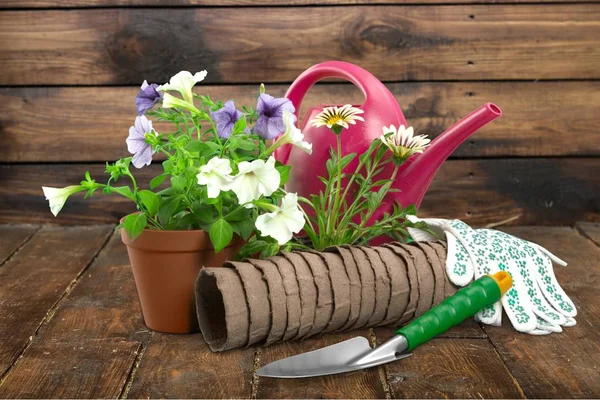 Flower Pot and gardening utensils — Stock Photo, Image