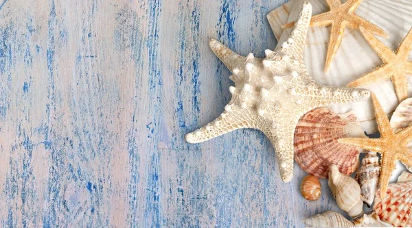 Hermosas Conchas Marinas Estrellas Mar Vacaciones Verano — Foto de Stock