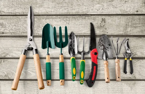 Row Gardening Tools Wooden Background — Stock Photo, Image