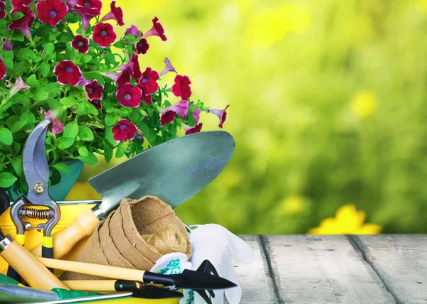 Virágcserepek Kerti Szerszámok Fából Készült Asztal — Stock Fotó