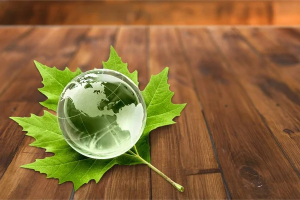 Alternative Energie Umwelt Erde Globus Blatt Grüne Natur — Stockfoto