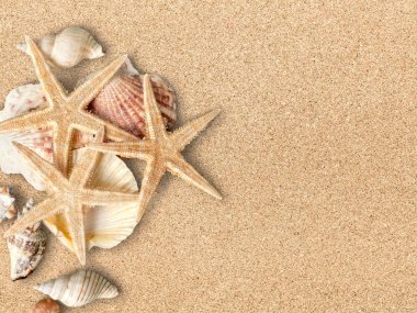 Deniz kabukları ve deniz yıldızları Kumlu Arka Plan üzerinde 