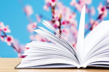 Ahşap masa, eğitim ve kavram öğrenme açık kitap