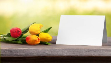 boş kartı ile taze laleler