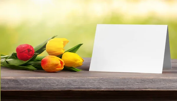 Verse Tulpen Met Lege Kaart — Stockfoto