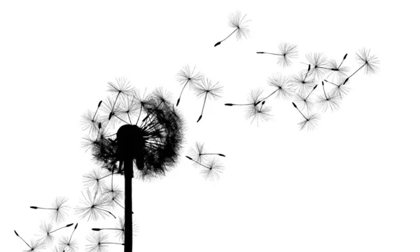 Летающие Семена Одуванчика Весенний Цветок — стоковое фото