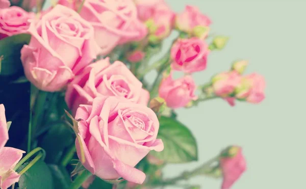 Красивые Розовые Розы Романтический Букет — стоковое фото