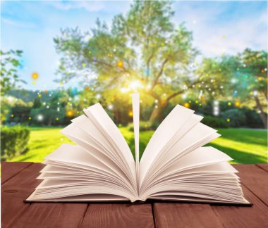 Ahşap masa, eğitim ve kavram öğrenme açık kitap