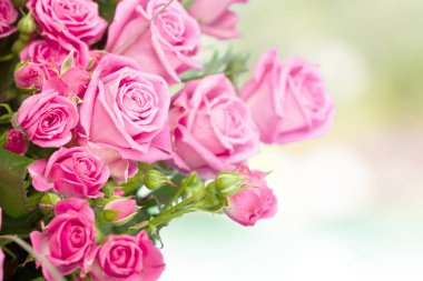 güzel pembe güller, romantik buket 