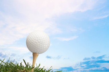 Yeşil çimenlerin üzerinde tee Golf topu