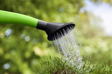 sulama olabilir ve çim görmek 