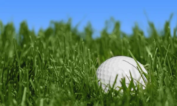 Golf Ball Tee Groen Gras — Stockfoto
