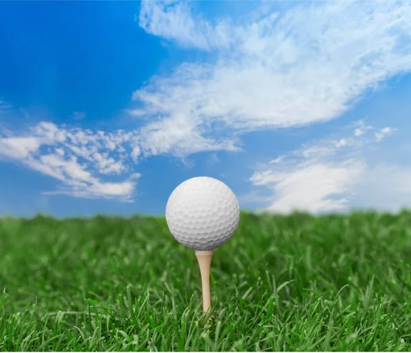 Golf ball on tee on green grass