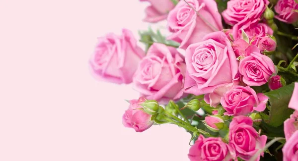 Beautiful Pink Roses Romantic Bouquet — Stock Photo, Image