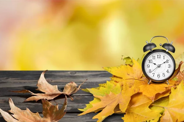黄色秋叶上的复古闹钟 — 图库照片