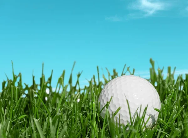 ティー上に緑の草にゴルフ ボール — ストック写真