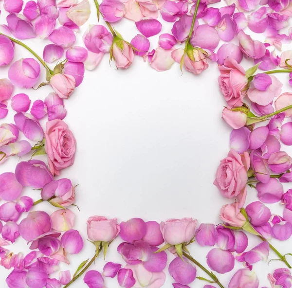 Närbild Rosa Ros Blommor Bakgrund — Stockfoto