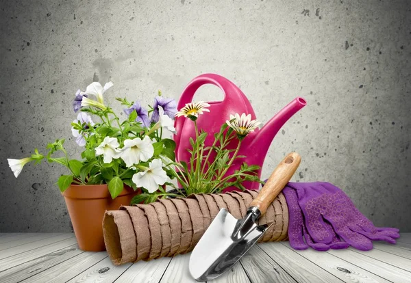 Цветочный горшок и садовая утварь — стоковое фото