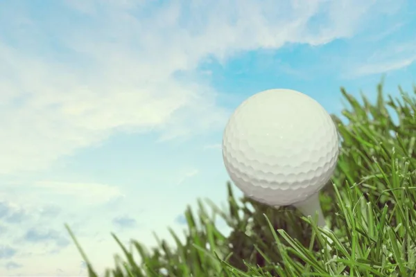 Golfball Auf Dem Abschlag Auf Grünem Gras — Stockfoto