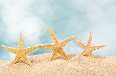 Deniz yıldızları kum, seyahat kavramı üzerinde 