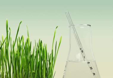 Zemin üzerine yeşil çim ve test şişesi 