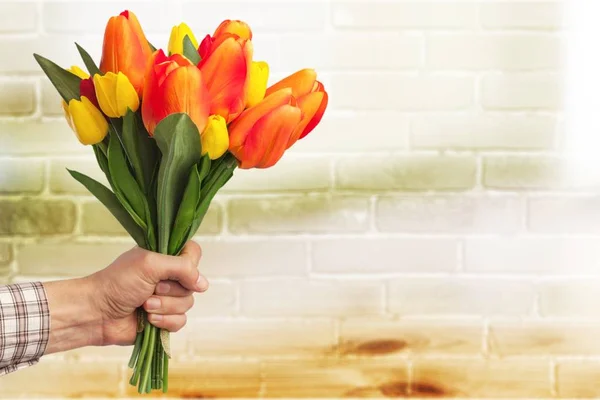 Man Bedrijf Tulpen Achtergrond — Stockfoto