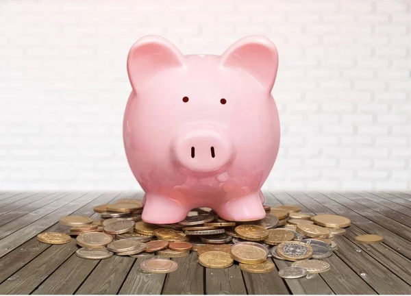 Piggy Bank Coins Investment Saving Concept — Stock Photo, Image