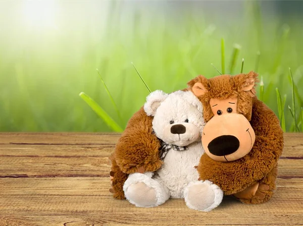 Lindos Osos Peluche Mesa Madera — Foto de Stock