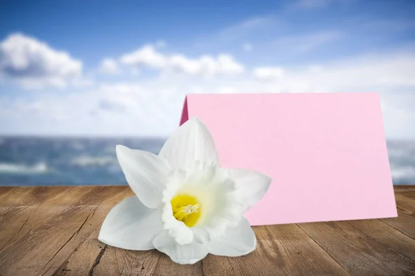 Witte Bloem Roze Kaart Zee Achtergrond — Stockfoto