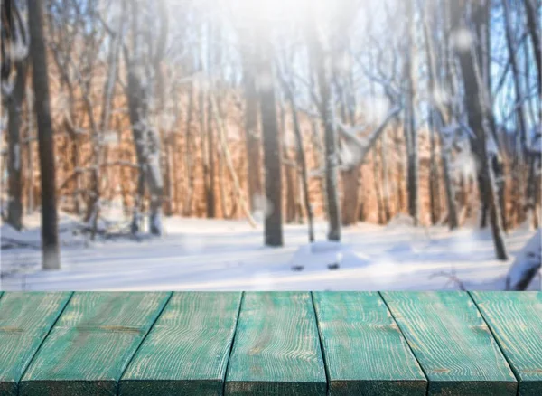 Erstaunliche Landschaft Mit Schneebedeckten Bäumen Winterpark — Stockfoto