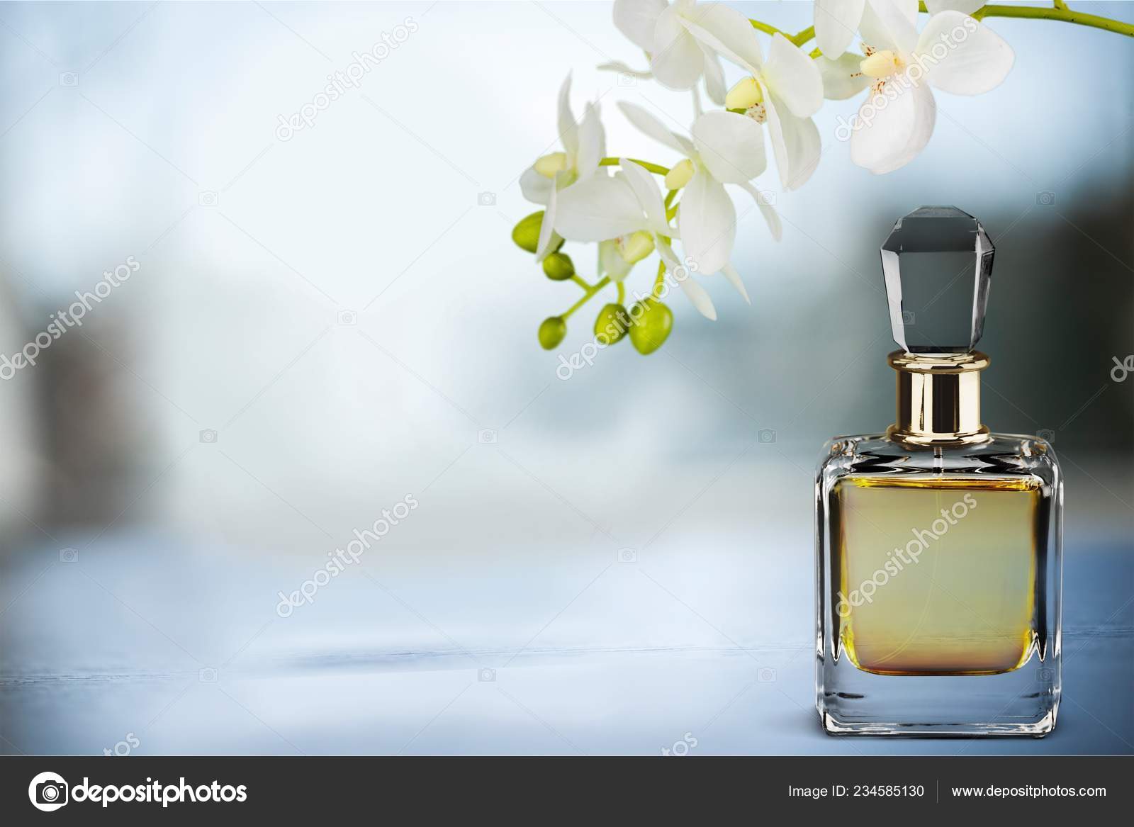 Elegant Perfume Bottle Flowers Beauty Concept — Stock Photo