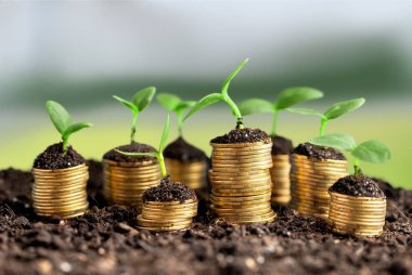Sikke üzerinde arka plan bulanık genç bitkiler ile toprakta 