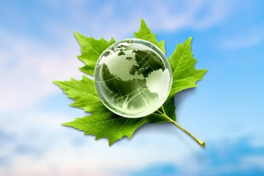 Arka plan üzerinde Cam Küre ve yeşil yaprak 